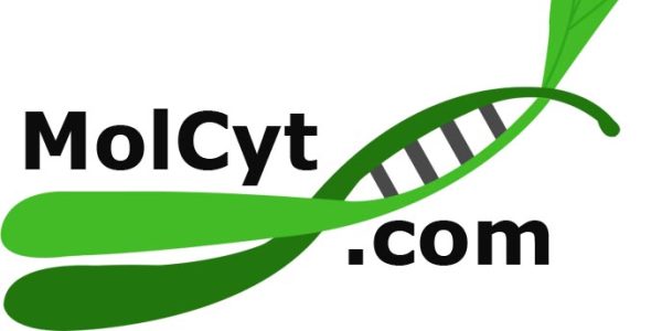 Molcyt.com logo - chromosome and DNA